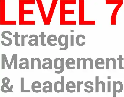 Strategic Management Process Level 7